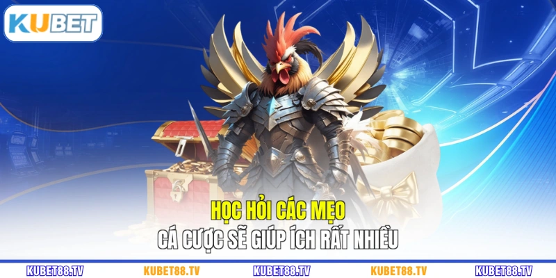 Học hỏi các mẹo cá cược sẽ giúp ích rất nhiều